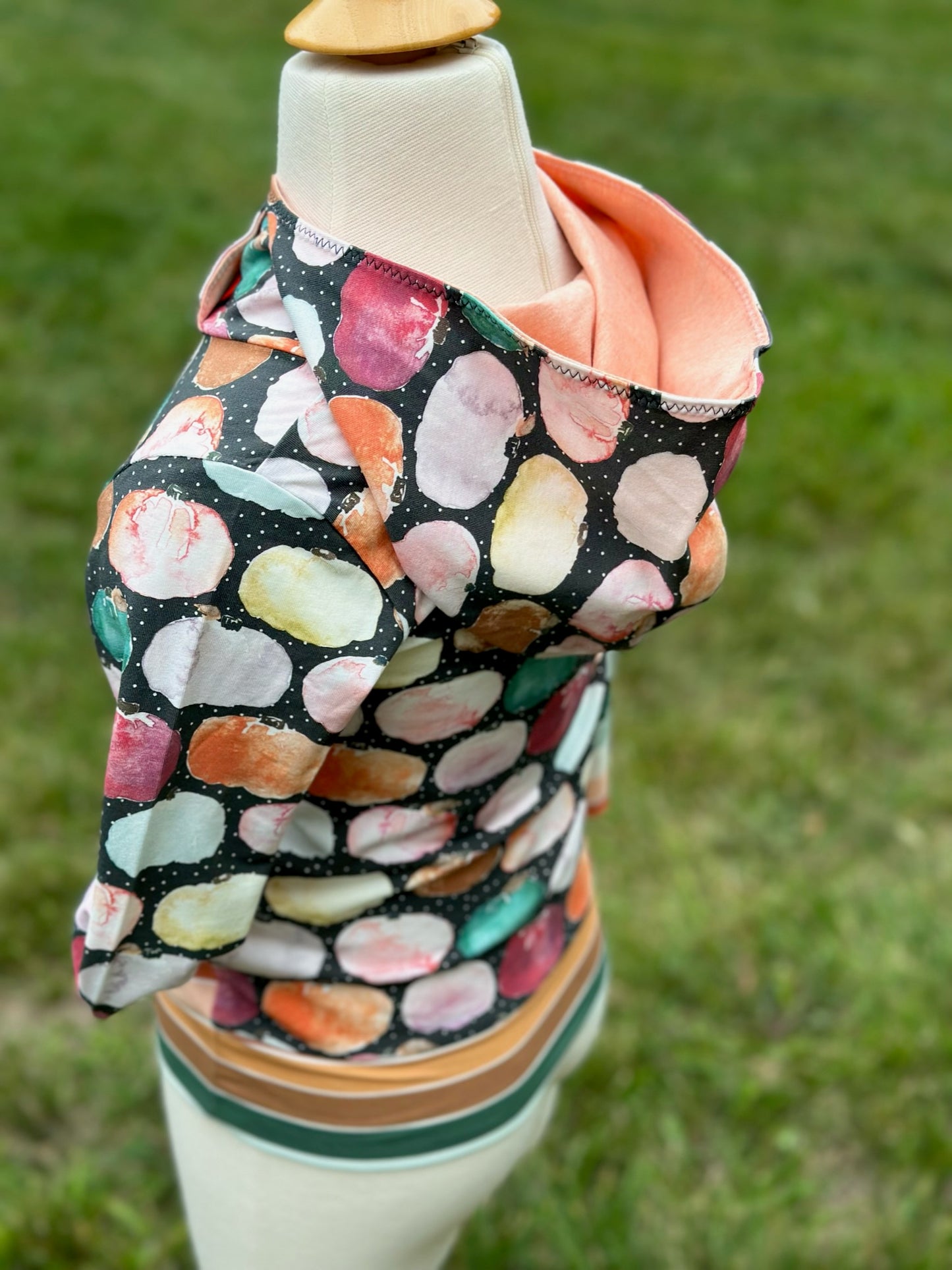 Colorful Pumpkins Hoodie Grow With Me